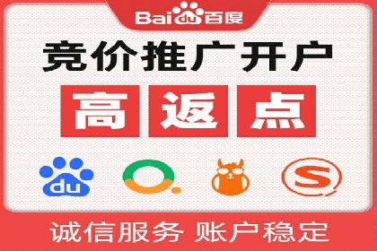 百度推广的成功案例：从零到一的突破